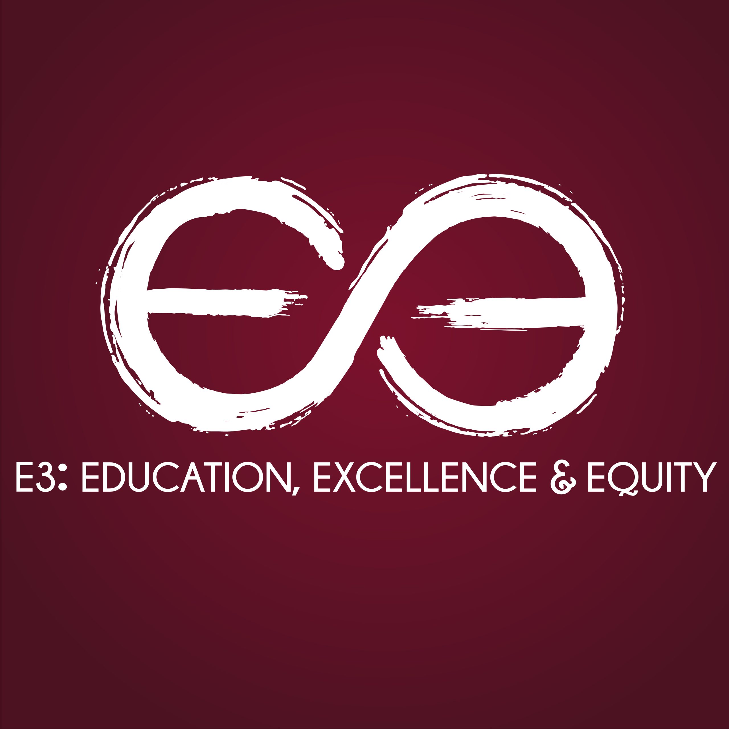 E3 Education Excellence and Equity logo